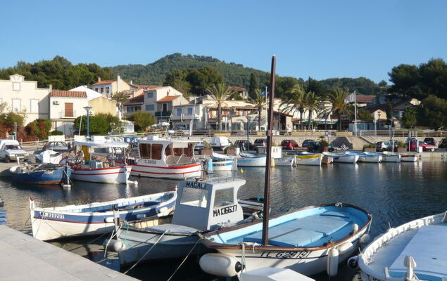 Les Cèdres - Photo 47