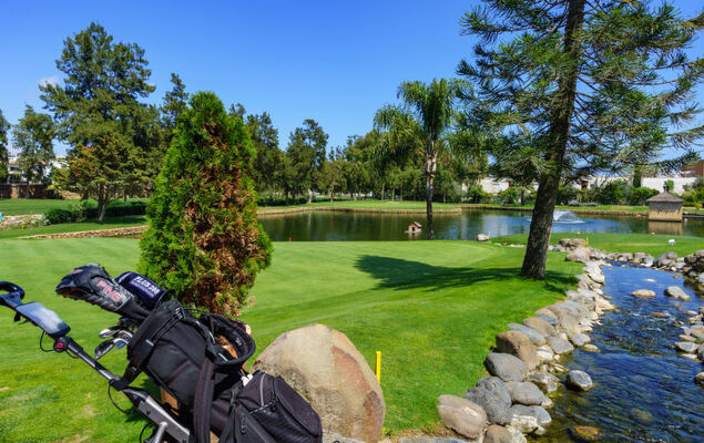 Las Golondrinas Golf view - Photo 29