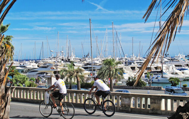 Piccolina - Photo 21