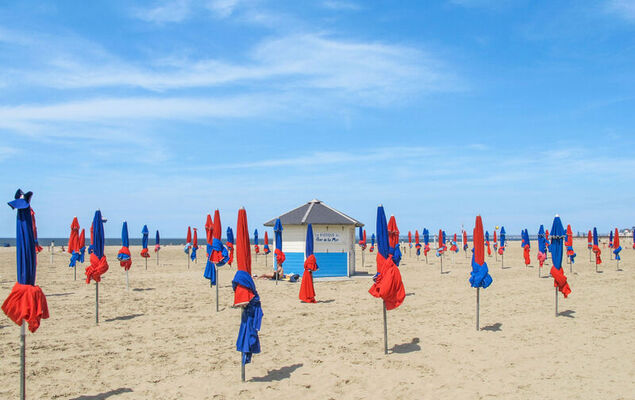 Le Cap Bleu - Photo 23