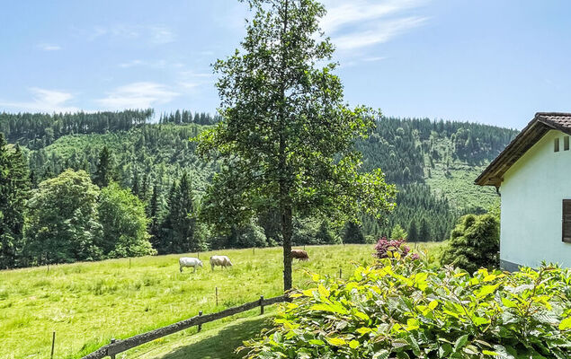 Black Forest Hideaway - Photo 32