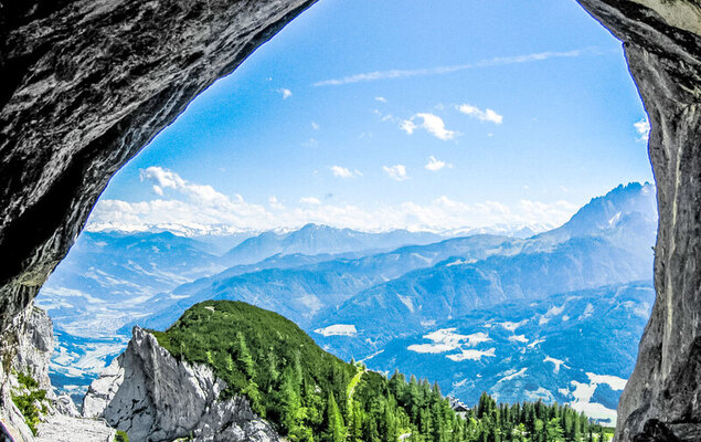 Edelweiss - Photo 19