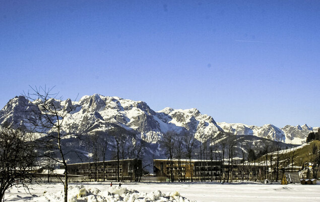 Edelweiss - Photo 23