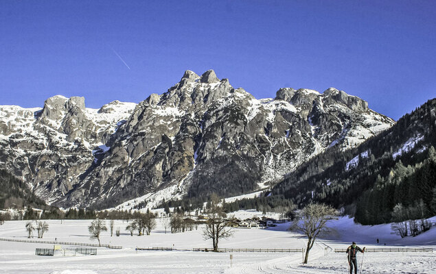 Edelweiss - Photo 24