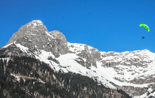 Edelweiss - Photo 25