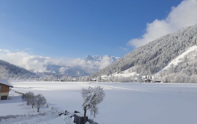 Edelweiss - Photo 28