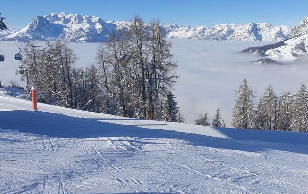 Edelweiss - Photo 29