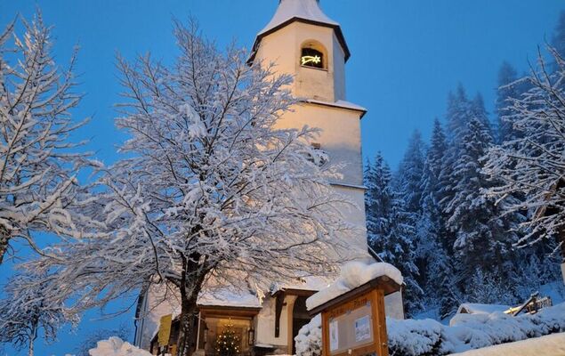 Edelweiss - Photo 30