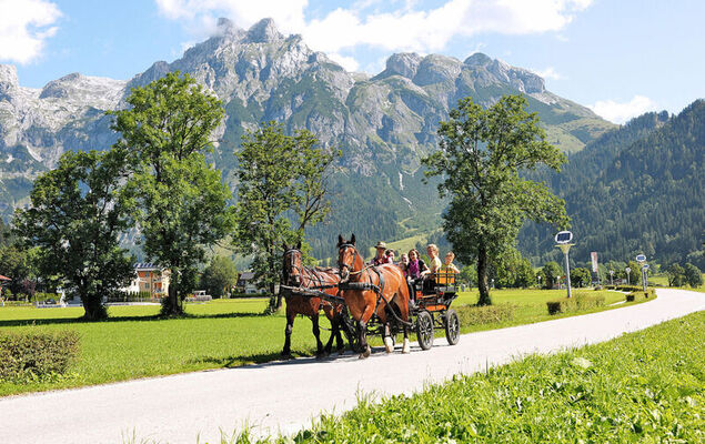 Edelweiss - Photo 32