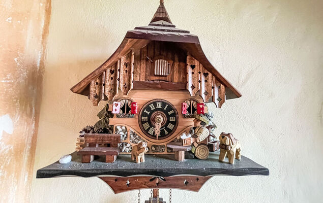 Black Forest Hideaway - Photo 18