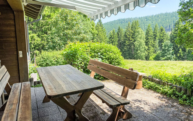 Black Forest Hideaway - Photo 24