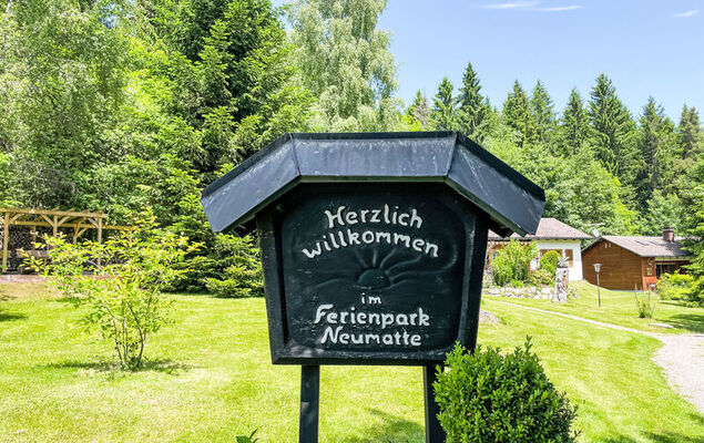 Black Forest Hideaway - Photo 31