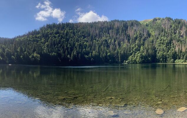 Black Forest Hideaway - Photo 39