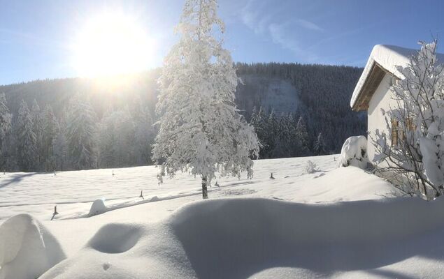 Black Forest Hideaway - Photo 40