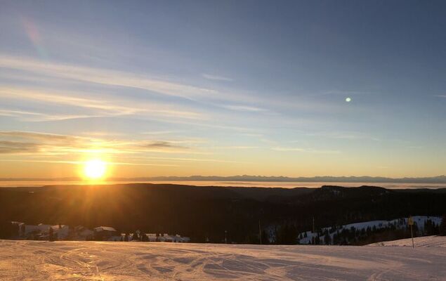 Black Forest Hideaway - Photo 42